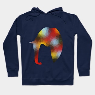 Elephant in African Colors Hoodie